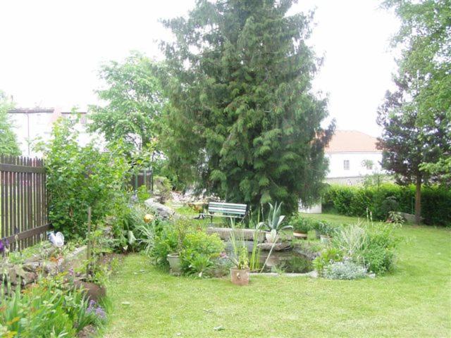 Penzion U Pesku Horní Planá Extérieur photo