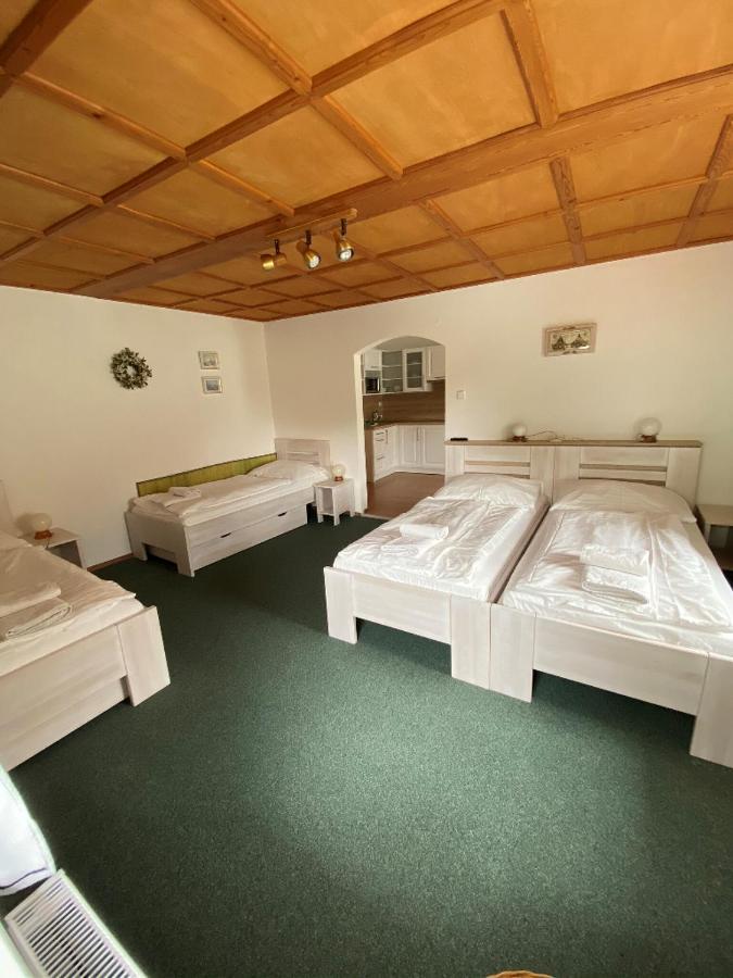 Penzion U Pesku Horní Planá Extérieur photo
