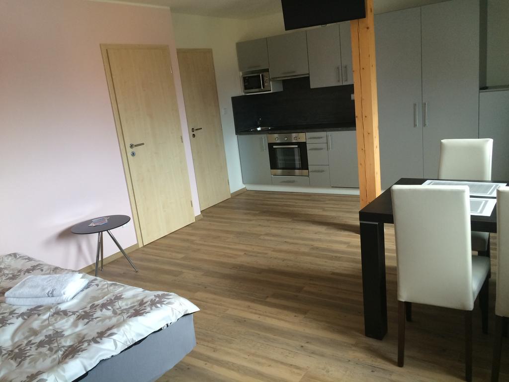 Penzion U Pesku Horní Planá Extérieur photo