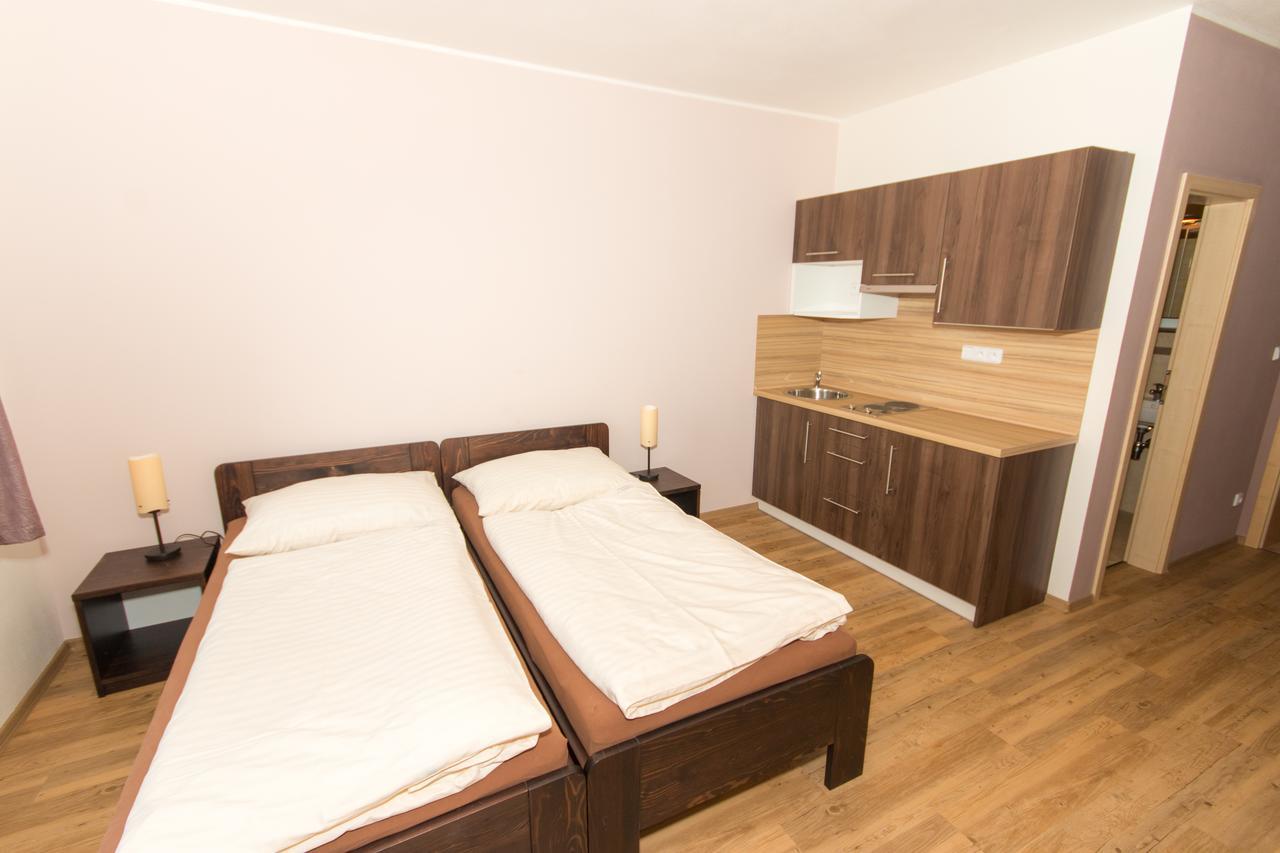 Penzion U Pesku Horní Planá Extérieur photo